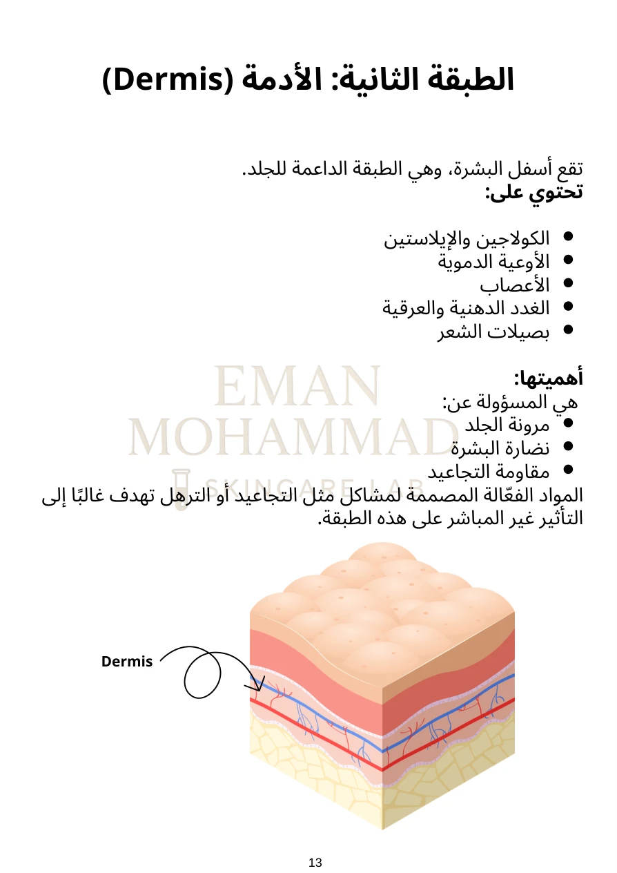 صفحة فعلية من الدليل: بنية الجلد
